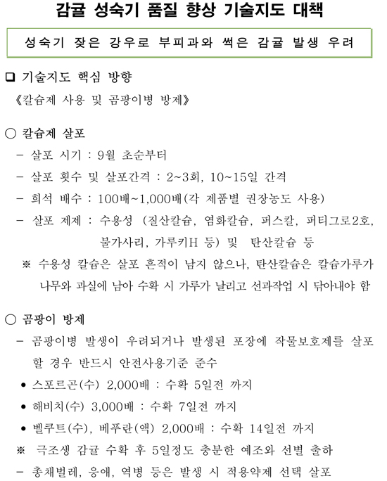 감귤 성숙기 품질 향상 기술지도 대책